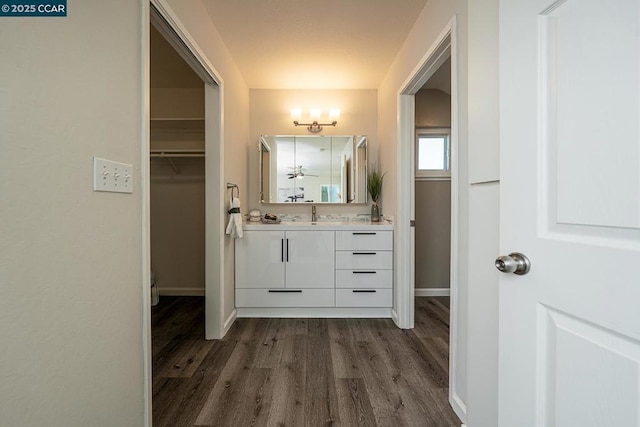 bathroom with hardwood / wood-style floors and vanity