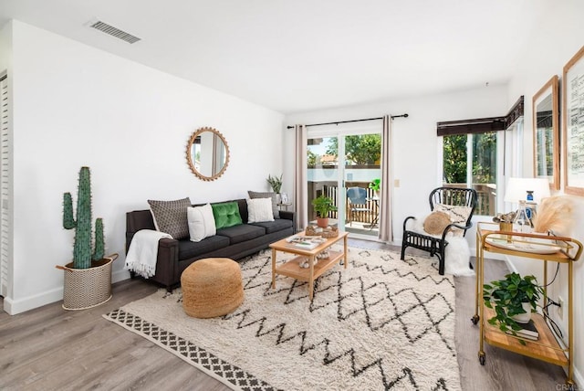 living room with wood-type flooring