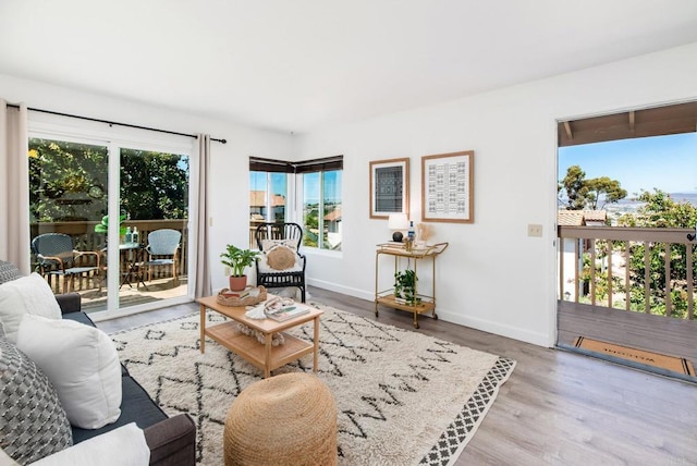 living room with light hardwood / wood-style floors