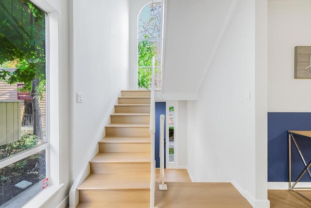 stairs with a wealth of natural light