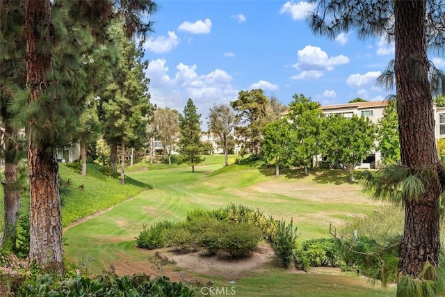 view of home's community featuring a lawn