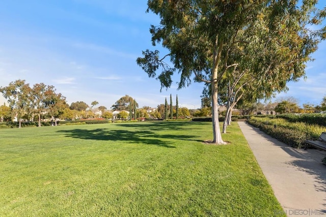 view of community with a lawn