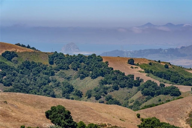 view of mountain feature