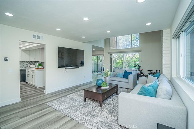 living room featuring a healthy amount of sunlight and light hardwood / wood-style flooring