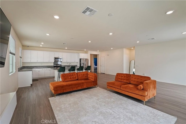 living room featuring sink and wood-type flooring