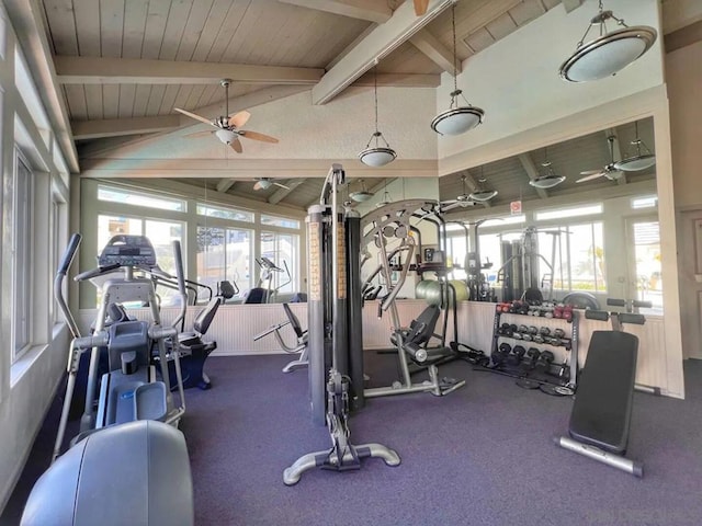 exercise room featuring high vaulted ceiling, ceiling fan, and a healthy amount of sunlight