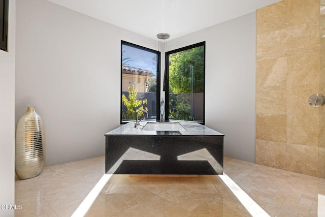 bathroom with sink