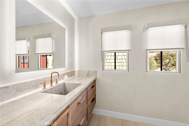 bathroom with wood-type flooring and vanity