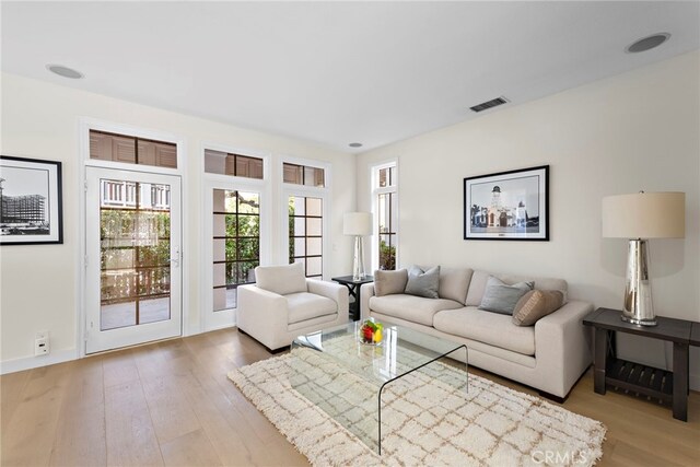 living room featuring wood-type flooring