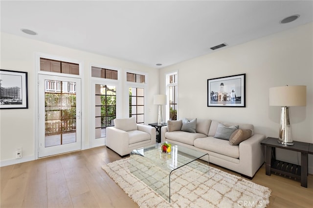 living room featuring hardwood / wood-style floors