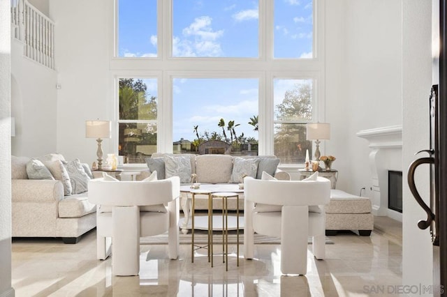 living room featuring a healthy amount of sunlight and a high ceiling