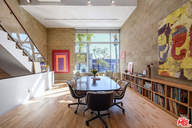 dining space with rail lighting, light hardwood / wood-style floors, and a healthy amount of sunlight