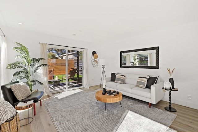 living room featuring light hardwood / wood-style floors