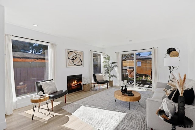 living room featuring light hardwood / wood-style flooring