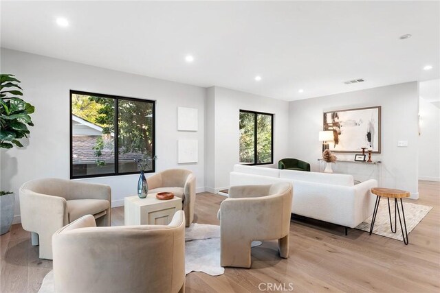 living room featuring light hardwood / wood-style floors