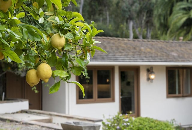 5041 El Secreto, Rancho Santa Fe, CA 92067 - property entrance with roof with shingles and stucco siding