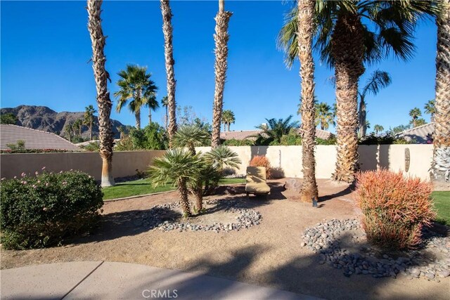 view of yard featuring a mountain view