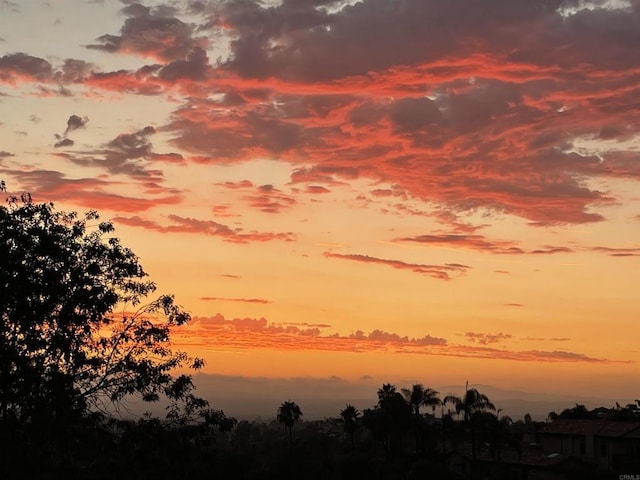 view of nature at dusk