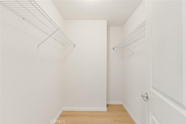 spacious closet featuring light hardwood / wood-style floors