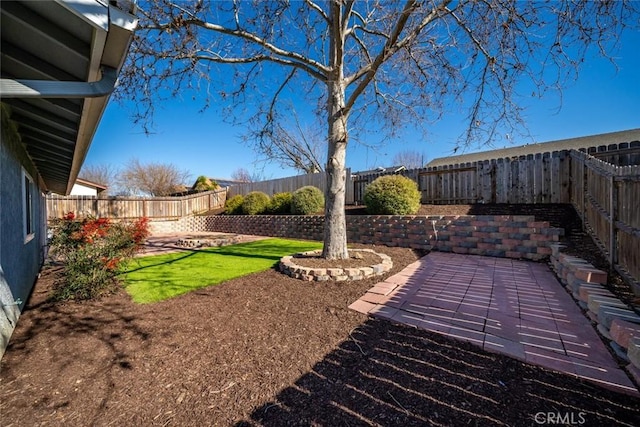 view of yard with a patio