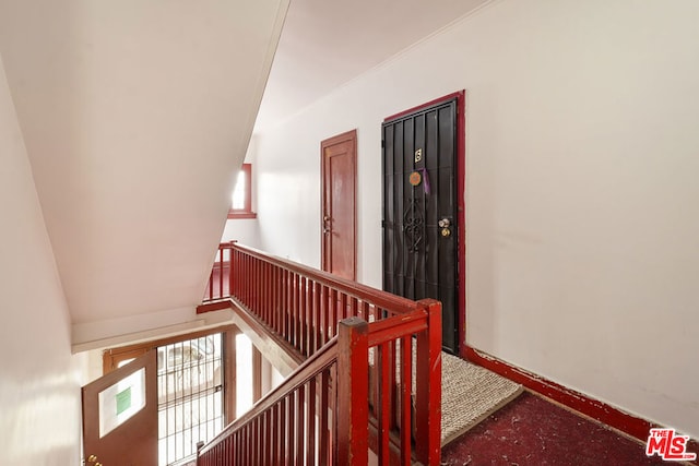 stairs featuring carpet floors