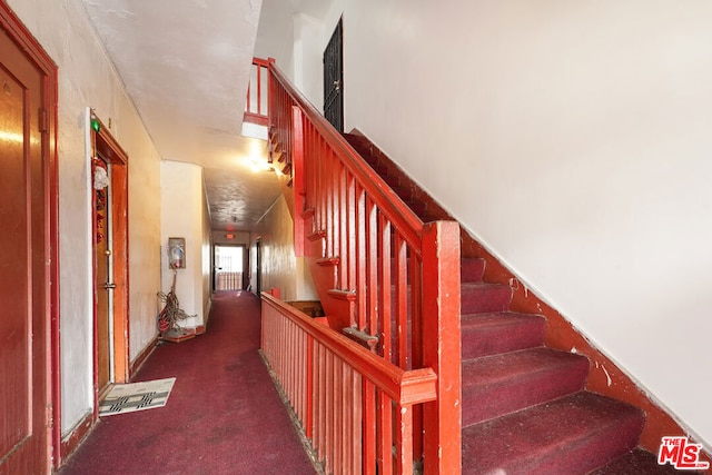 stairway with carpet floors