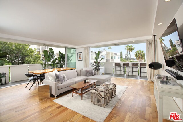 living room featuring light hardwood / wood-style flooring