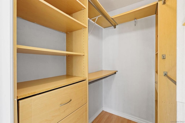 walk in closet featuring light hardwood / wood-style floors