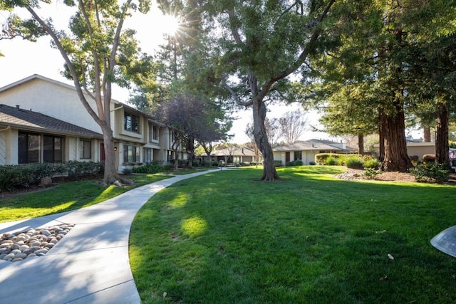 view of community with a lawn