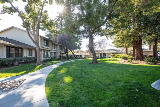 view of community with a yard