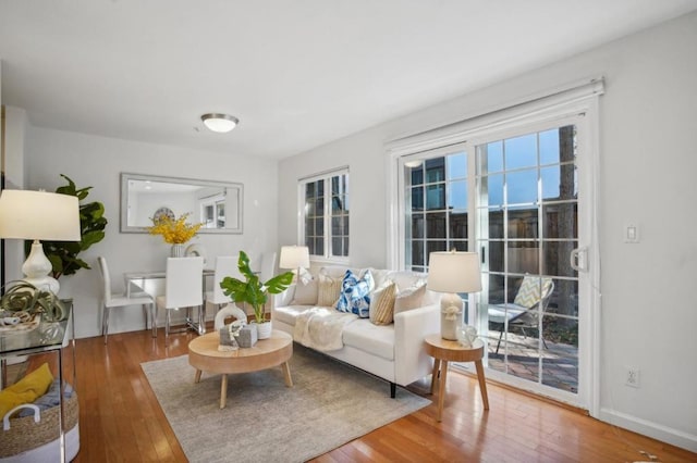 living room featuring hardwood / wood-style flooring