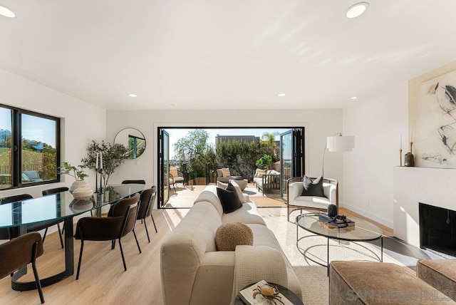 living room featuring light hardwood / wood-style flooring