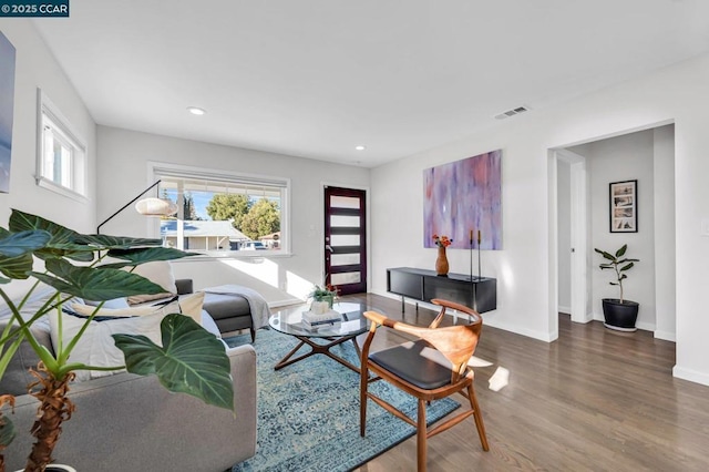 living room with hardwood / wood-style flooring and a healthy amount of sunlight