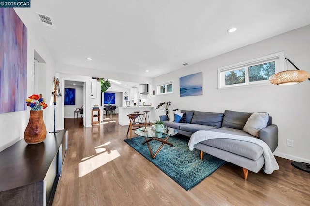 living room with hardwood / wood-style floors