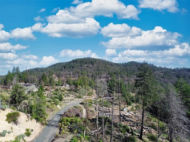 13746 Adams Springs Dr, Cobb CA, 95426 land for sale