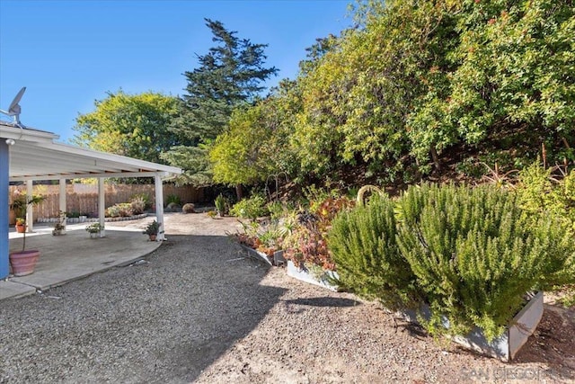 view of yard featuring a patio