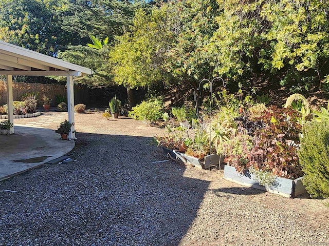 view of yard with a patio area