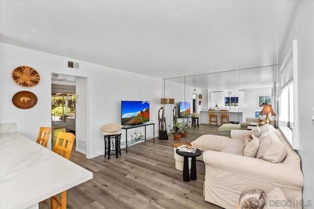 living room featuring hardwood / wood-style flooring