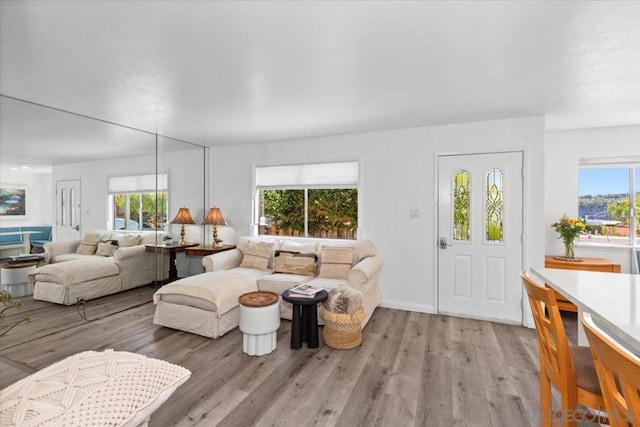 living room featuring light hardwood / wood-style flooring