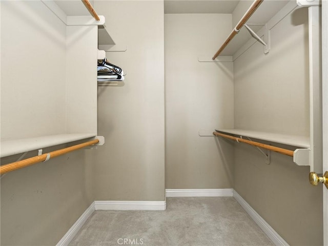 spacious closet featuring light carpet