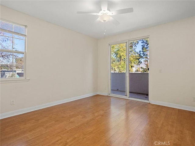 empty room featuring ceiling fan and wood-type flooring