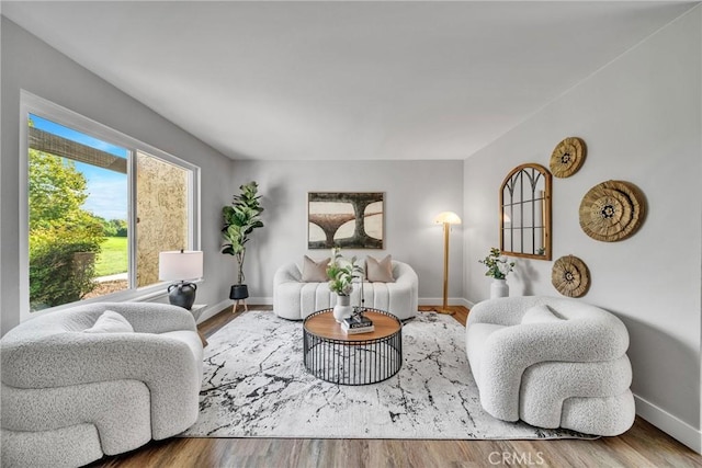 living room with hardwood / wood-style floors