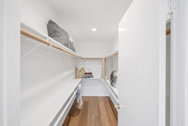 walk in closet with light wood-type flooring