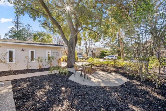 view of yard with a patio area