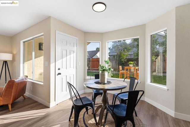 dining room with a wealth of natural light and light hardwood / wood-style flooring