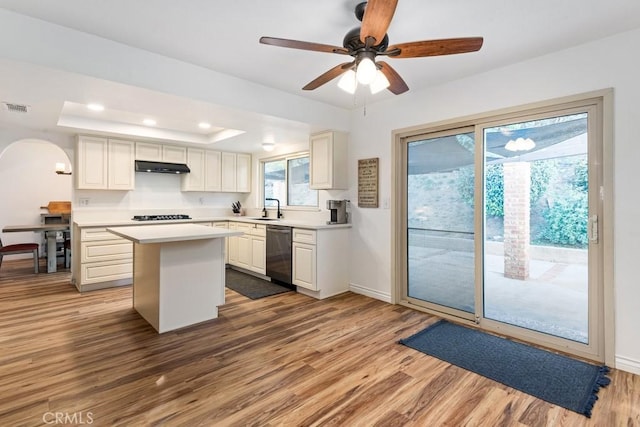 kitchen featuring a raised ceiling, wood-type flooring, a kitchen island, sink, and stainless steel dishwasher