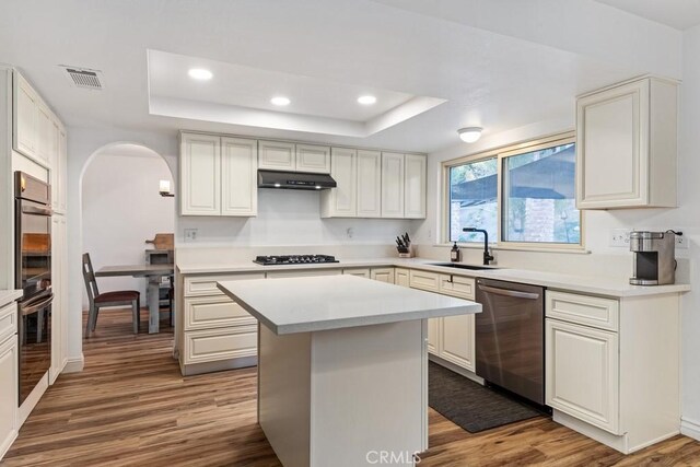 kitchen with appliances with stainless steel finishes, a center island, a raised ceiling, and sink