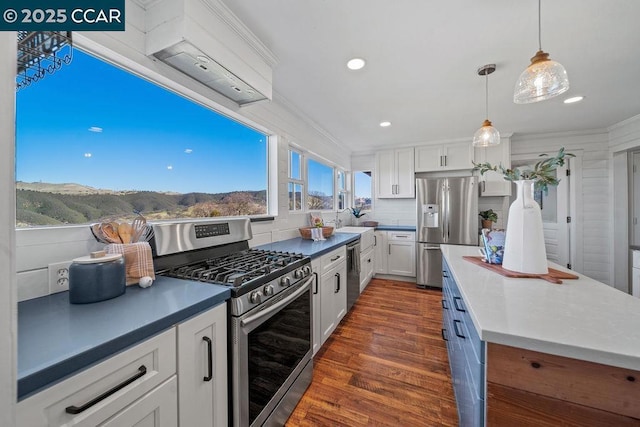 kitchen with white cabinets, appliances with stainless steel finishes, pendant lighting, and a mountain view