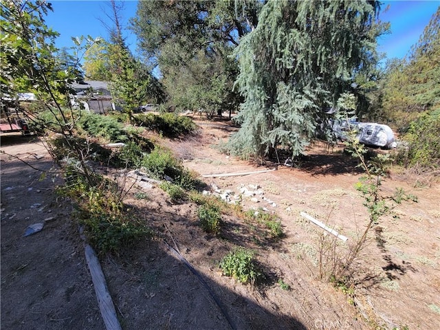 45412 N Oakview Dr, Oakhurst, CA 93644 - view of yard