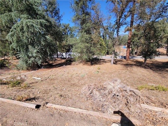 45412 N Oakview Dr, Oakhurst, CA 93644 - view of yard